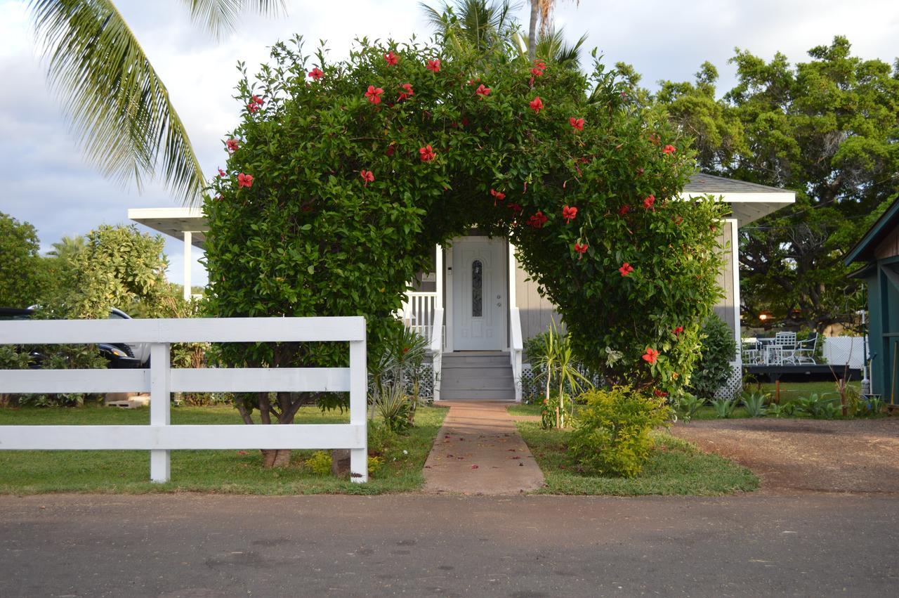 Auberge de jeunesse The Lahaina Beach House Extérieur photo